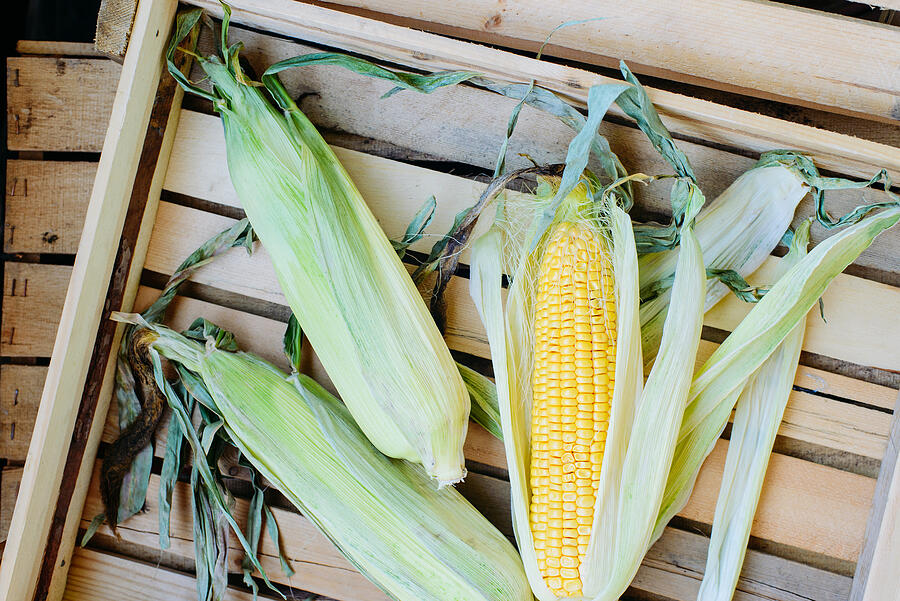 Top View Of Cob Corn On The Wooden Background Photograph by Apagafonova