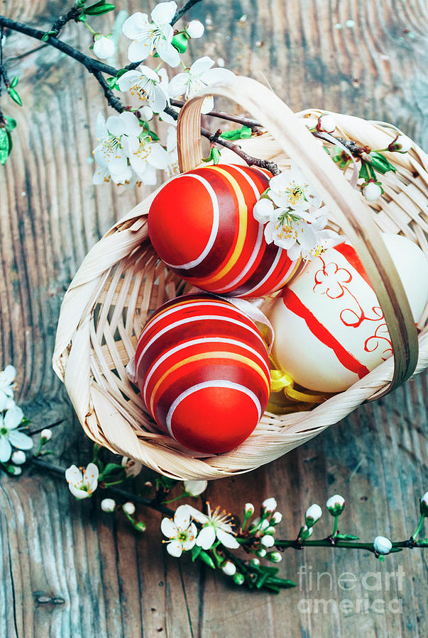 Top view of colorful painted easter eggs in basket and cherry bl Photograph by Jelena Jovanovic