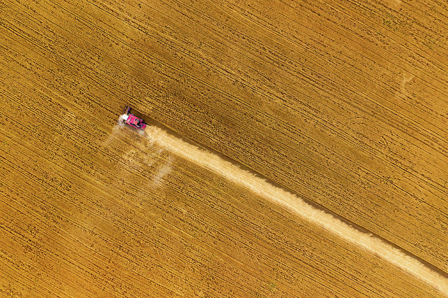 Top view of combine on harvest field Photograph by Mikhail Kokhanchikov