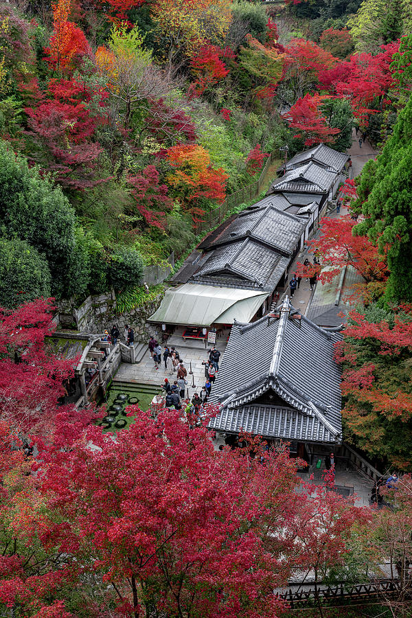 Top view of the kiyomizu dera temple spring Photograph by Gualtiero Boffi