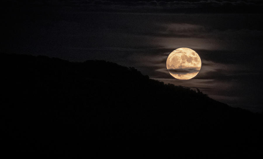 Topanga Moon Photograph by Bruce Patrick Smith