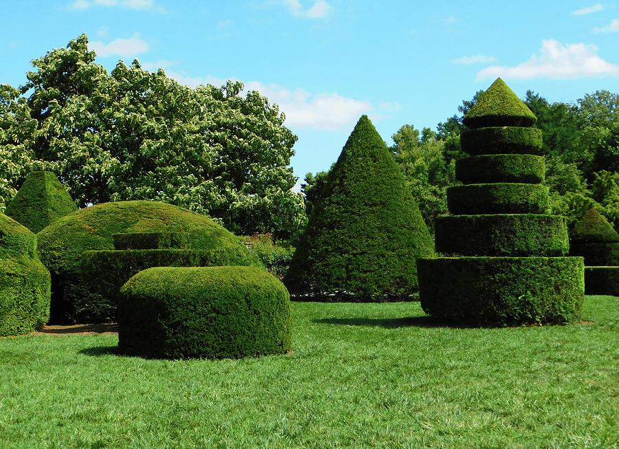 Topiary Gardens At Longwood Photograph
