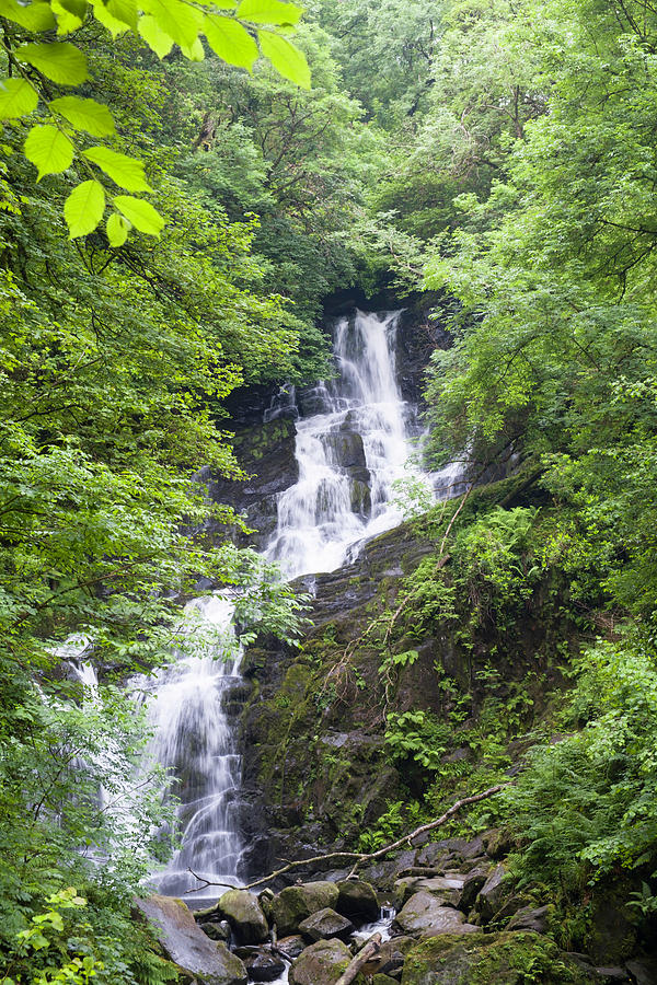 Torc Waterfall Killarney National Park Photograph By David L Moore