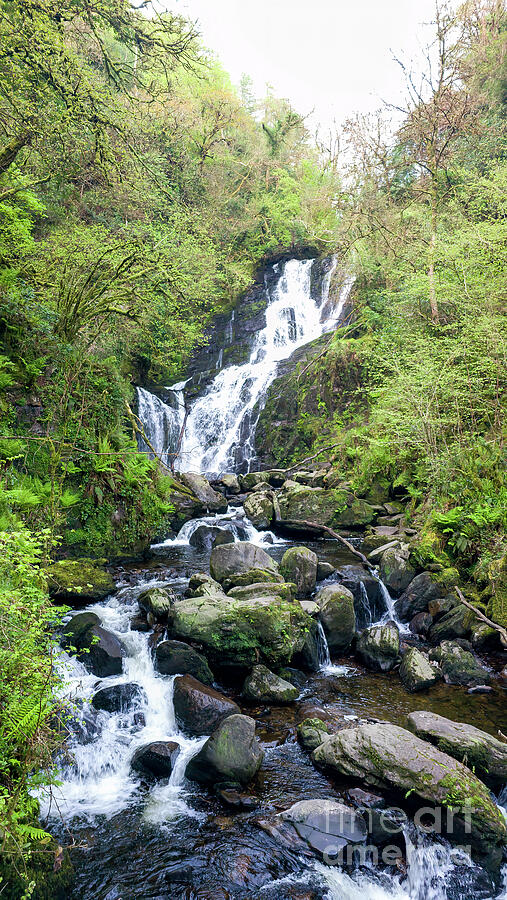 Torc Waterfall - Killarney National Park, Killarney, Ireland Photograph by Jeff Saunders Torc Waterfall - Killarney National Park, Killarney, Ireland Photograph by Jeff Saunders