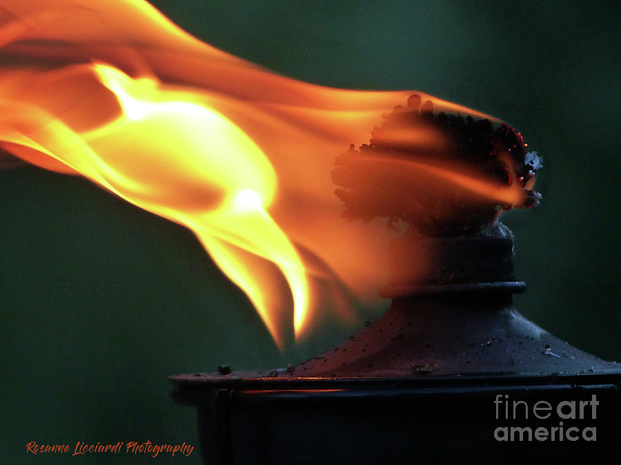 Torch Series I Photograph by Rosanne Licciardi