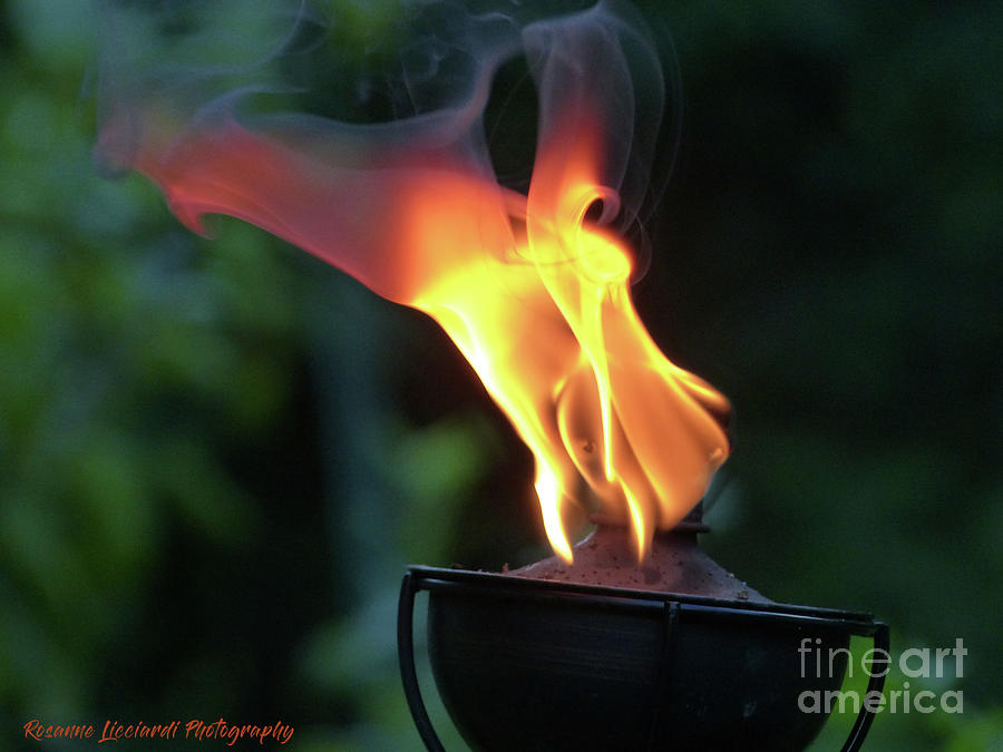 Torch Series II Photograph by Rosanne Licciardi