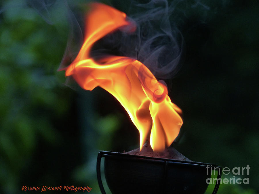 Torch Series III Photograph by Rosanne Licciardi