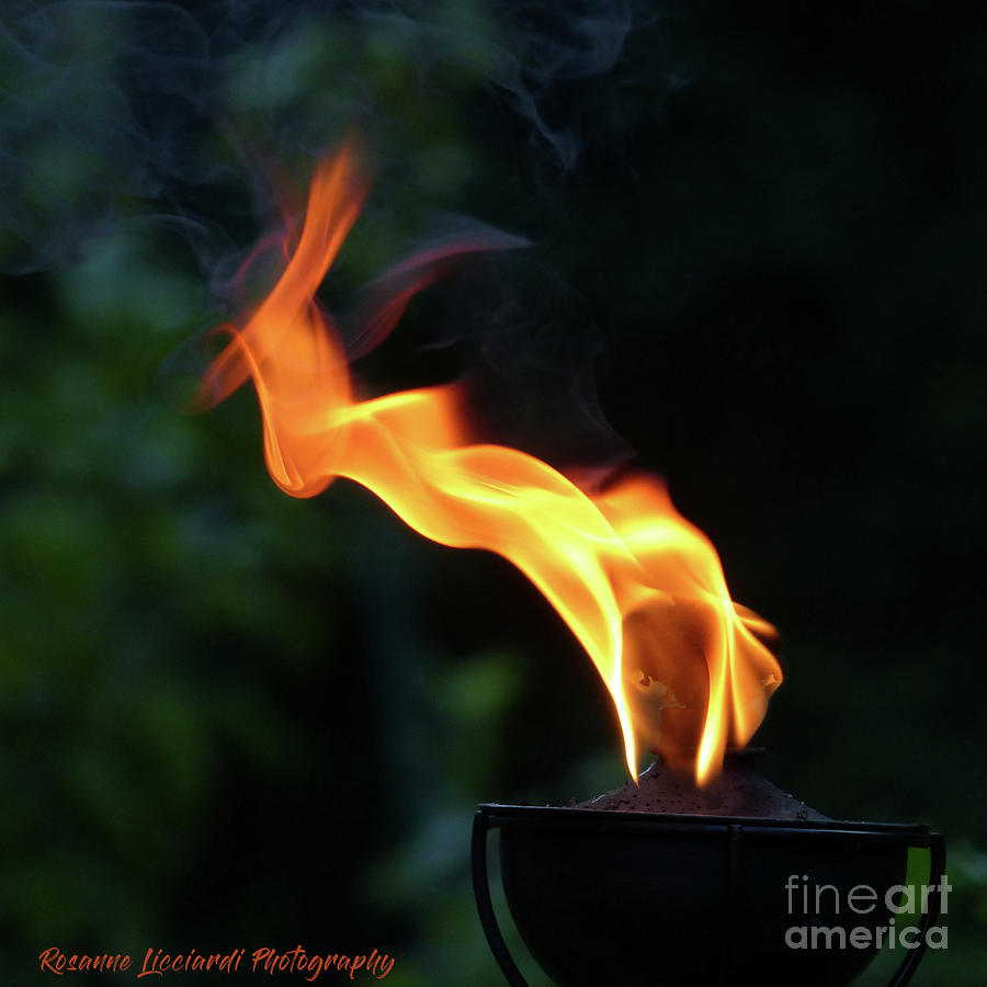 Torch Series V Photograph by Rosanne Licciardi