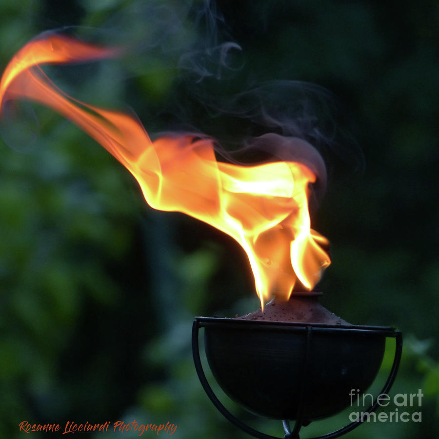 Torch Series VI Photograph by Rosanne Licciardi