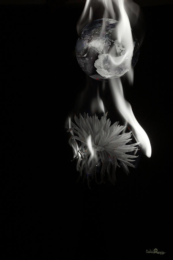 Torched Flower and Planet Photograph by Andrea Lawrence