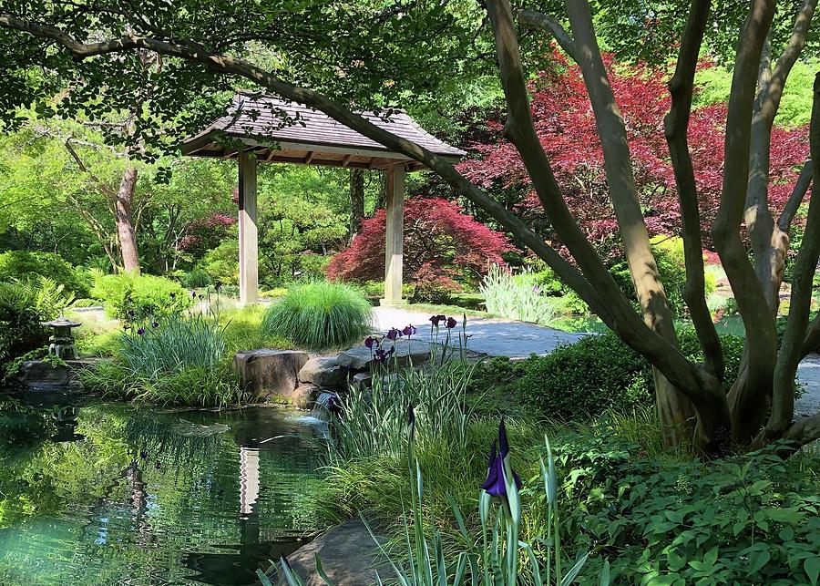 Torii Gate Photograph by Karenn Reeter - Fine Art America