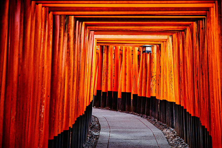 Torii Gates #2 - Kyoto Japan Photograph by Stuart Litoff