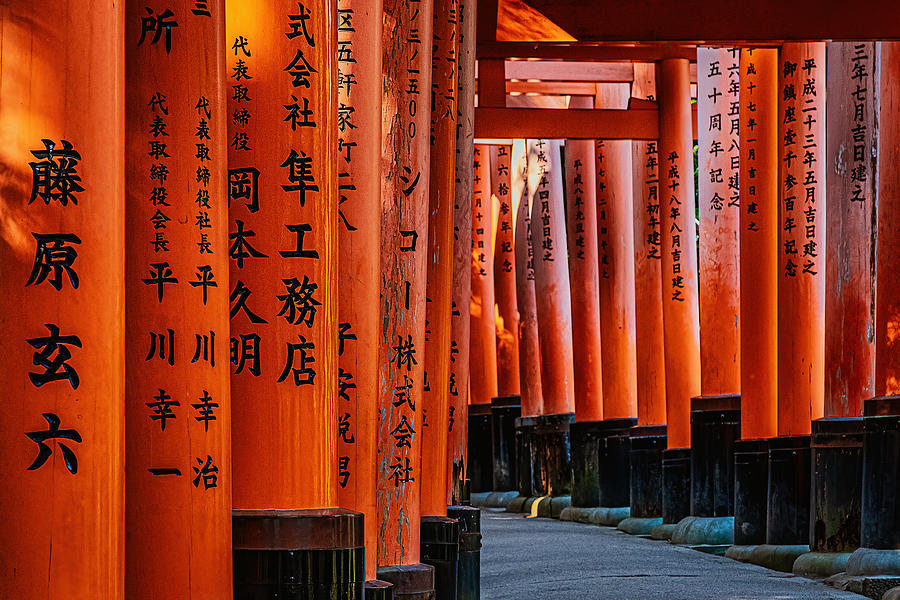 Torii Gates #3 - Kyoto Japan Photograph by Stuart Litoff
