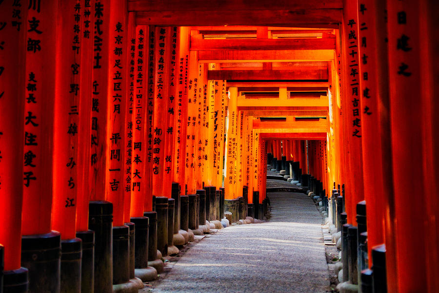 Torii Gates - Kyoto Japan Photograph by Stuart Litoff