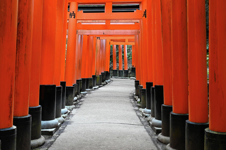 Torii Pathway at Fushimi Inari Shrine - Kyoto Japan Photograph by Matthias Hauser Torii Pathway at Fushimi Inari Shrine - Kyoto Japan Photograph by Matthias Hauser
