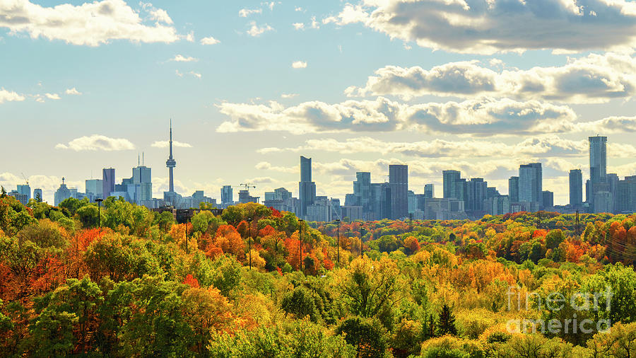 Toronto Autumn Landscape 2020 Photograph by Charline Xia