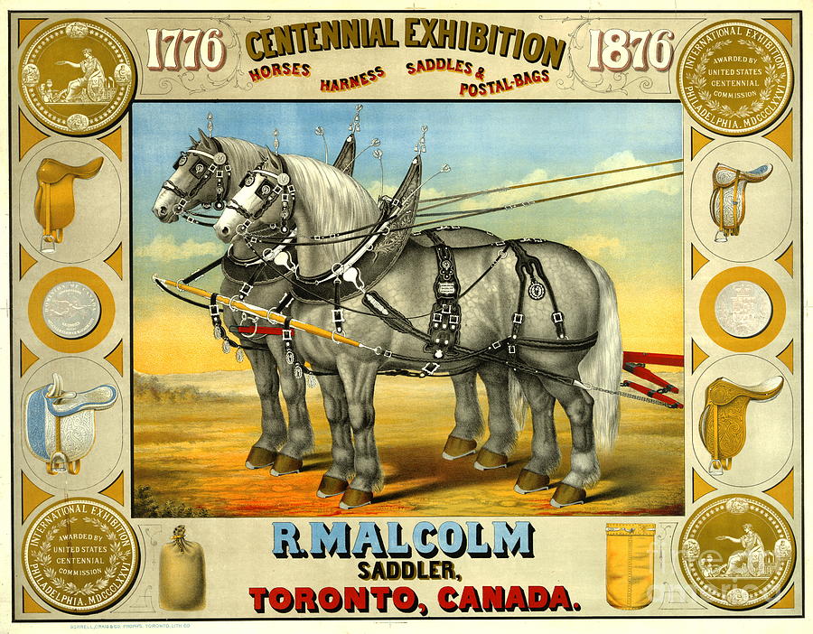 Toronto Saddler 1876 Photograph by Padre Art