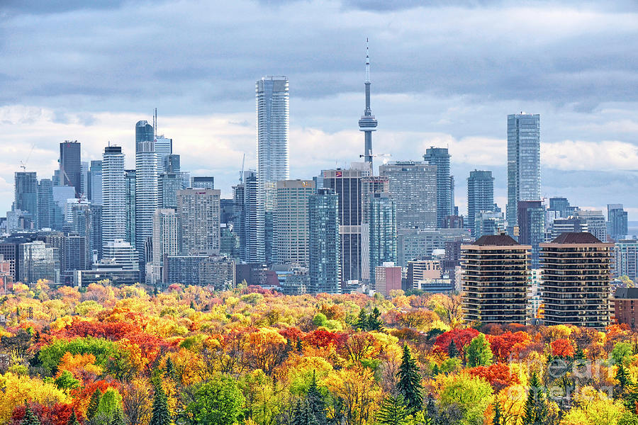 Toronto Skyline Fall Colors 2018 Photograph by Charline Xia