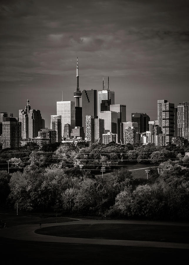 Toronto Skyline From Riverdale Park No 6 Photograph by Brian Carson