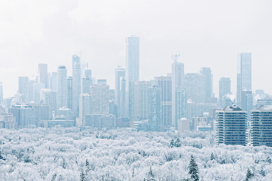 Toronto Skyline January 2020 Photograph by Charline Xia