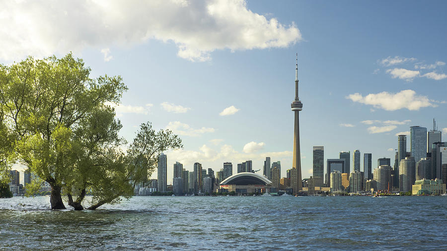 Toronto Skyline Photograph by Krystof Ponce - Fine Art America