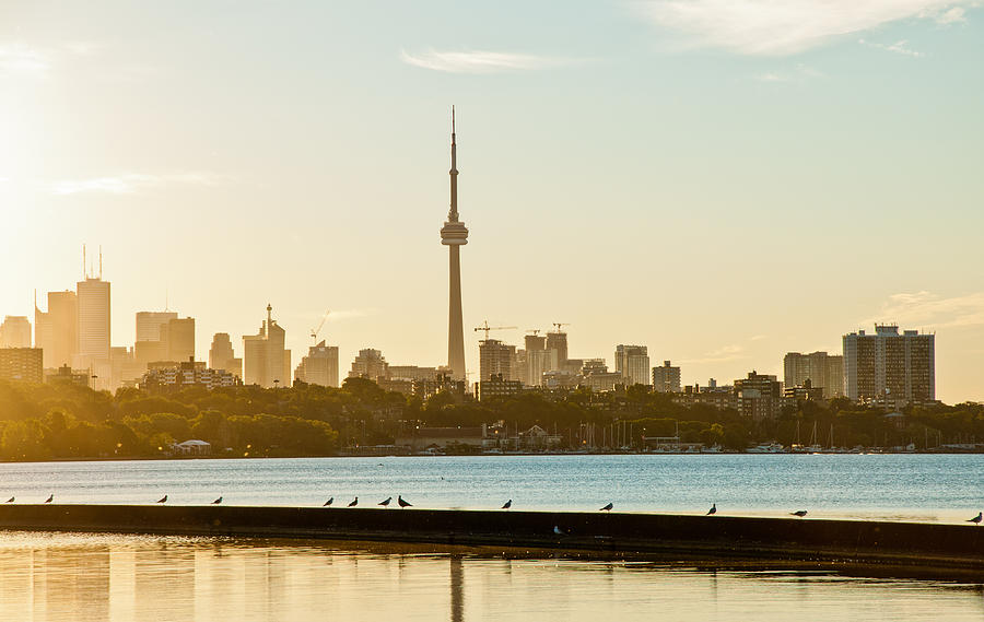 Toronto skyline under the warm morning light Photograph by Photography By Howard Yang