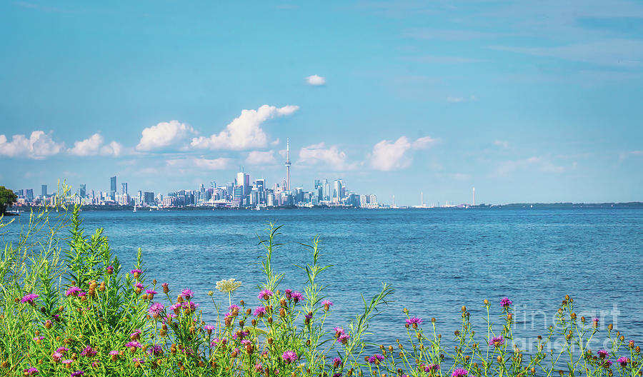 Toronto Waterfront Landscape Photograph by Charline Xia
