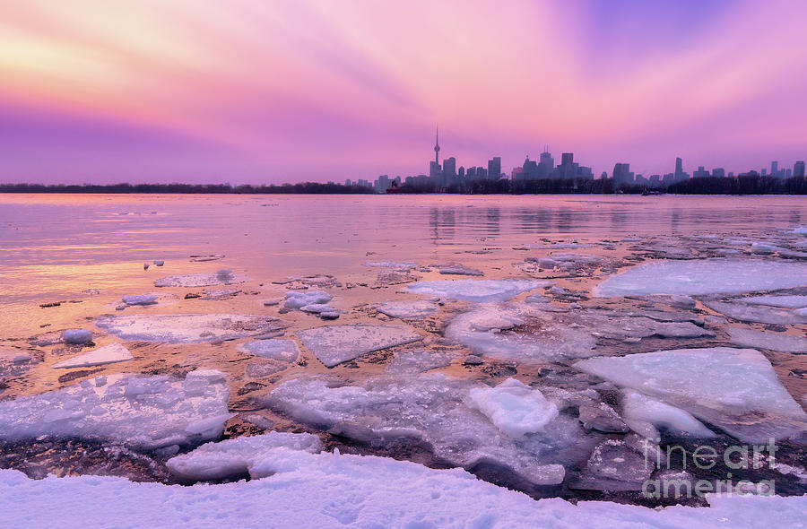 Toronto Winter Waterfront Skyline Photograph by Charline Xia