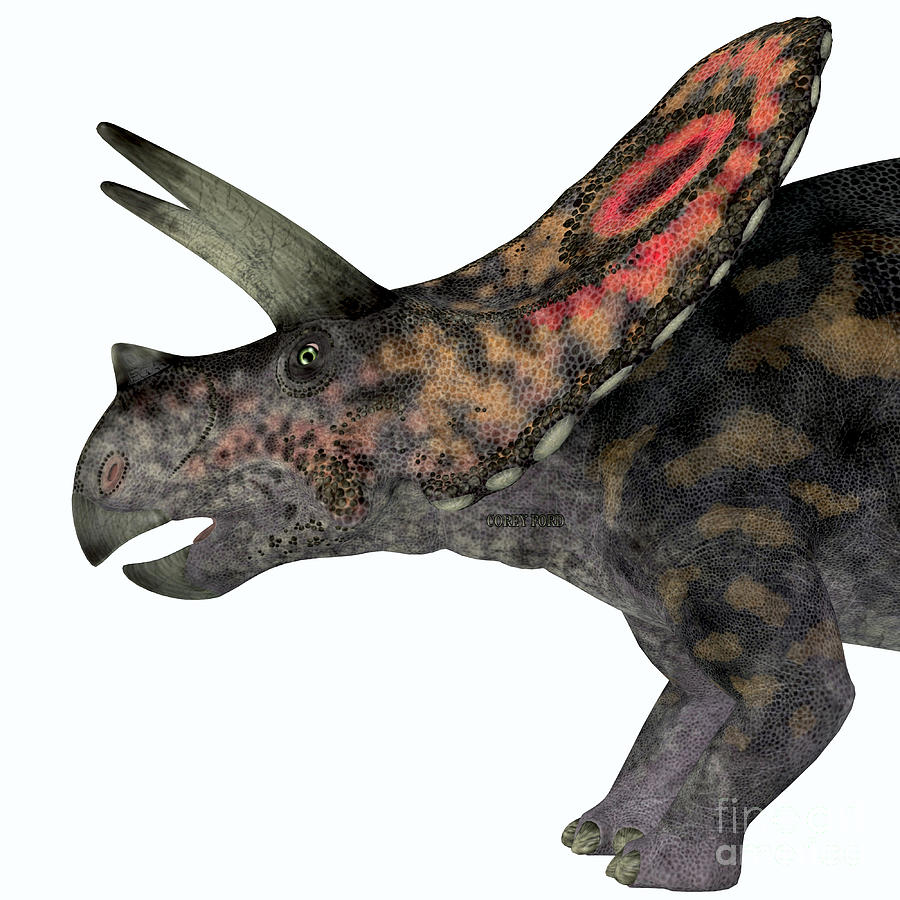 Torosaurus Dinosaur Head Digital Art by Corey Ford