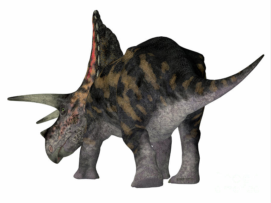 Torosaurus Dinosaur Tail Digital Art by Corey Ford