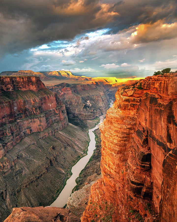 Grand Canyon National Park Photograph - Toroweap Golden Sunrise by Wasatch Light
