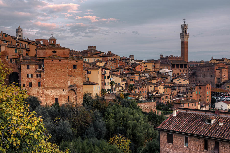 Torre del Mangia in Siena - Italy Photograph by Joana Kruse