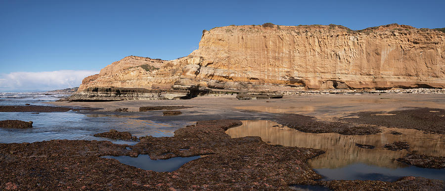 San Diego Photograph - Torrey Pines Beach Extreme Low Tide by William Dunigan