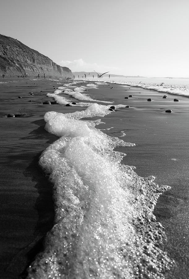 Torrey Pines Beach Foam Photograph by William Dunigan