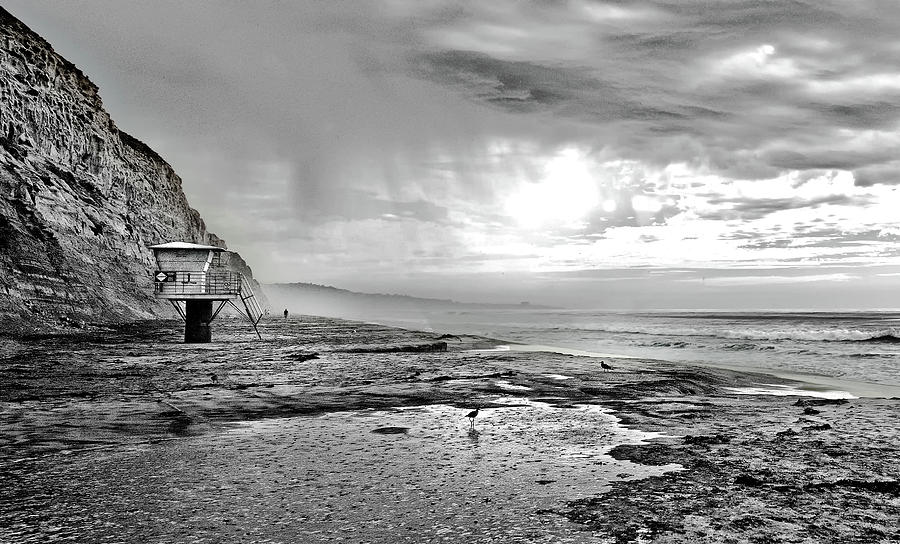 Torrey Pines Beach Photograph by Kirk Cypel - Fine Art America