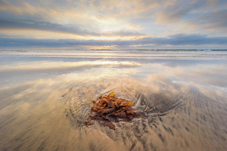 Torrey Pines - Christmas Day Sunset Photograph by Alexander Kunz