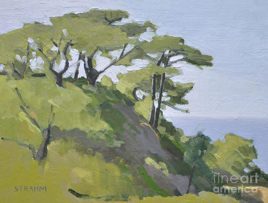 Torrey Pines - La Jolla, San Diego, California Painting by Paul Strahm