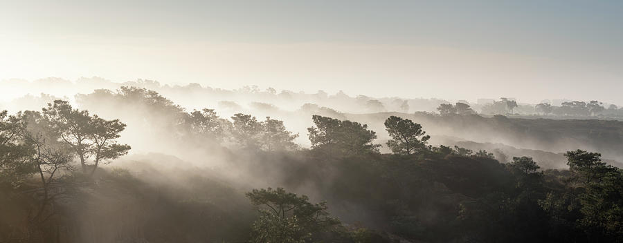San Diego Photograph - Torrey Pines Layered Hills in Fog by William Dunigan