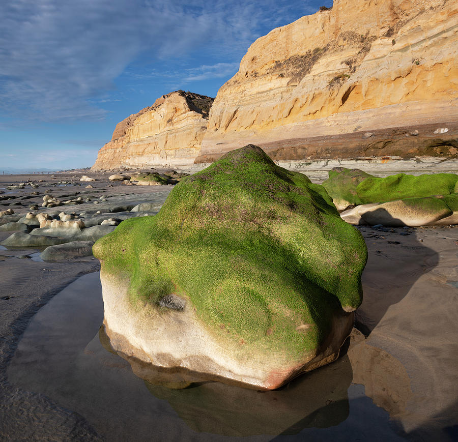 San Diego Photograph - Torrey Pines Rock in the Sand by William Dunigan