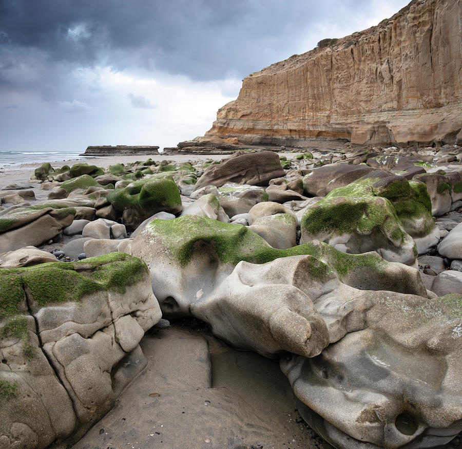Torrey Pines Rocks at Low Tide Photograph by William Dunigan Fine Art