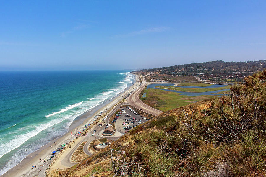Torrey Pines State Beach  Photograph by Daniel Politte