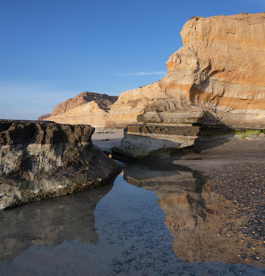 San Diego Photograph - Torrey Pines Sunny Reflection by William Dunigan