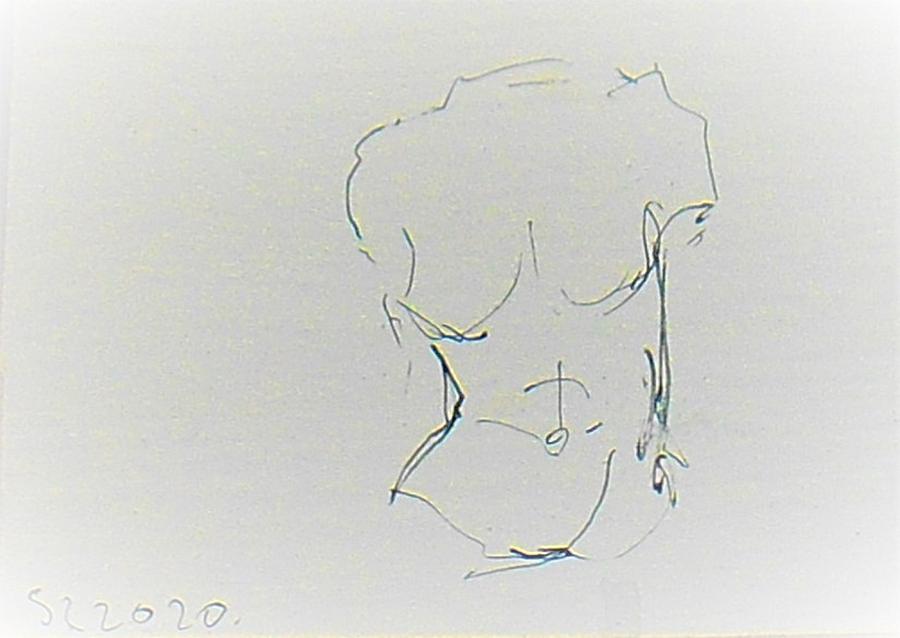 sketch of torso