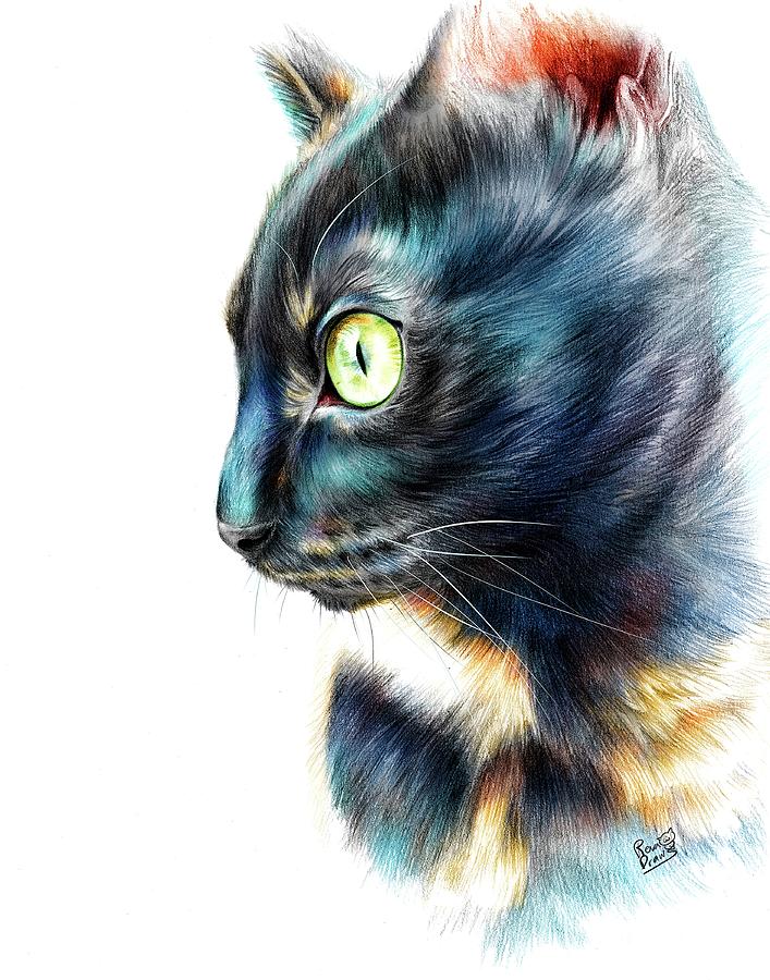 Tortie Cat Colorful Drawing Digital Art by Reva Chen Fine Art America