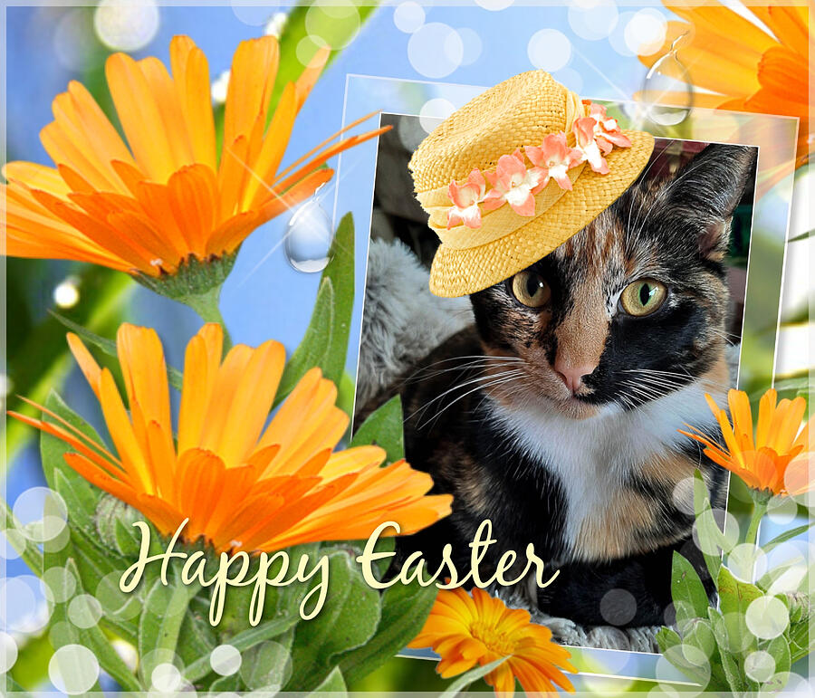 Easter Digital Art - Tortie Easter Greeting by Carol Lowbeer