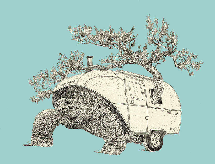 Tortoise Camper Digital Art by Jenny Armitage