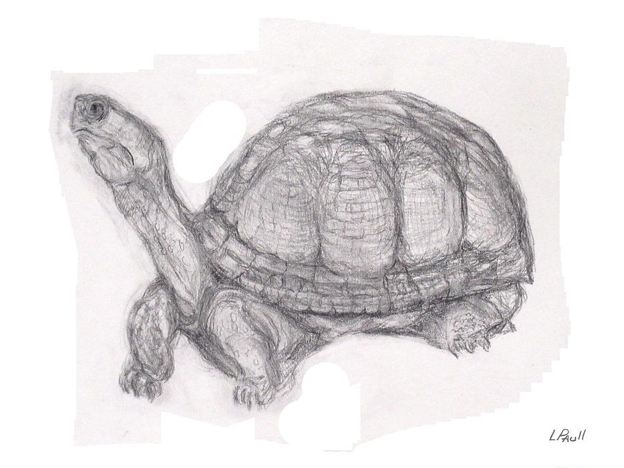 Tortoise Long Neck. I wonder if I'm going to be late to the party ...