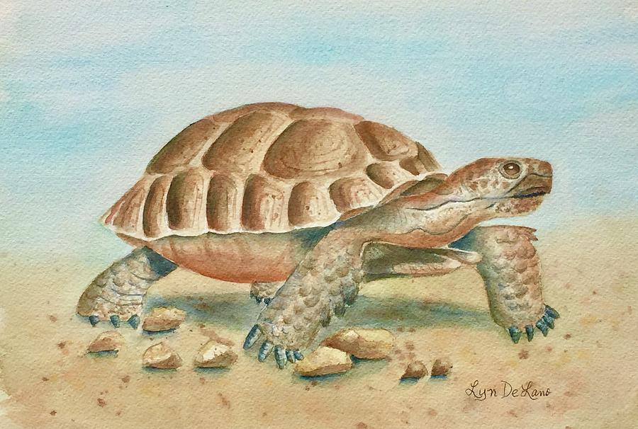 Tortoise Painting by Lyn DeLano - Pixels