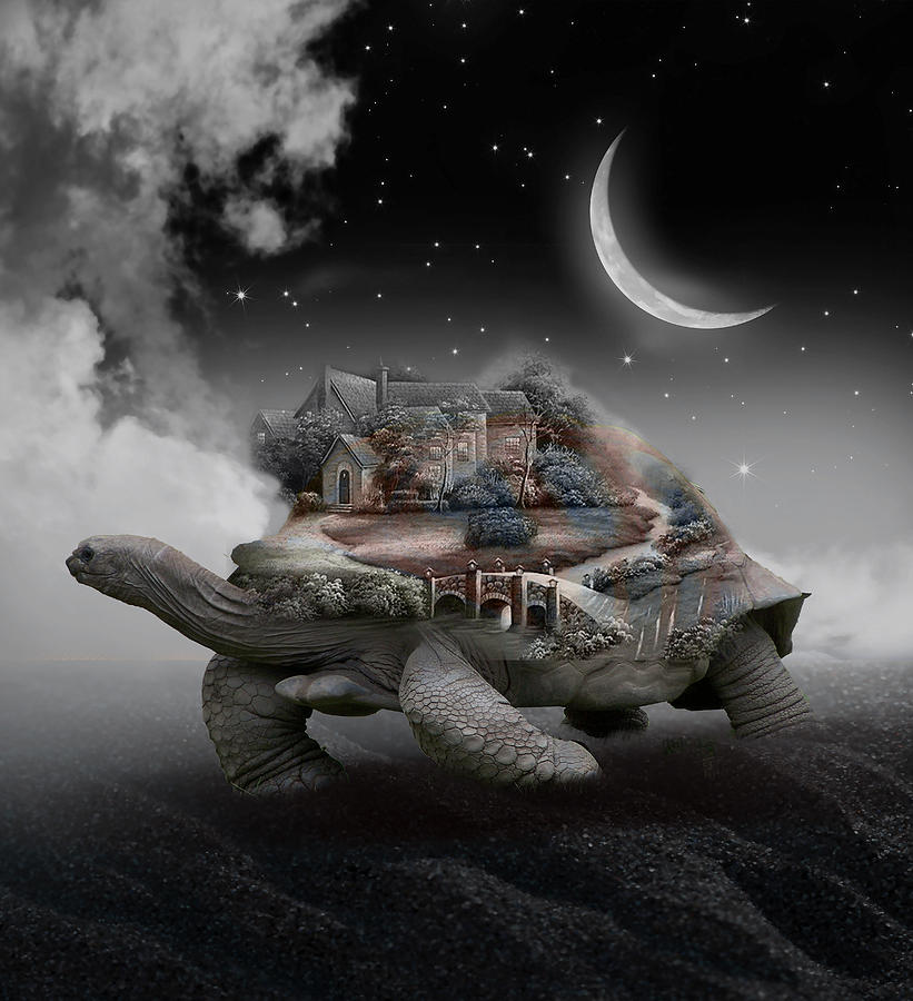 Tortoise Transport Mixed Media by Marvin Blaine