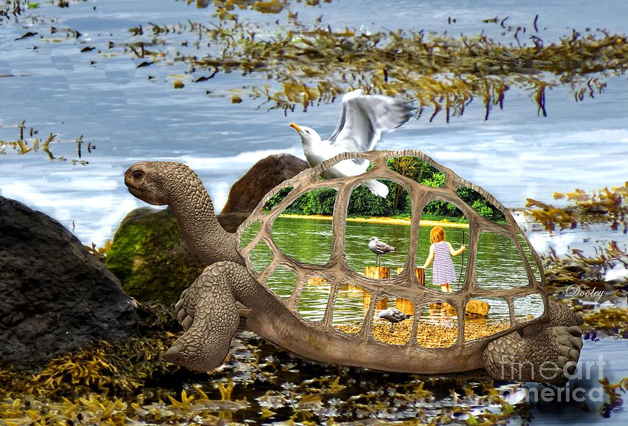 Tortoise's Tall Tale Digital Art By Edith Dooley - Fine Art America